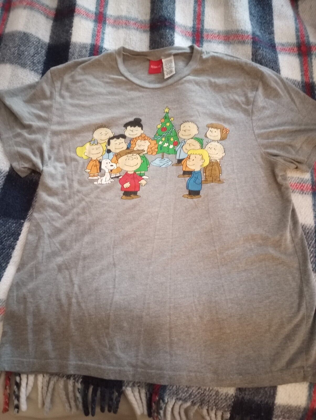 Peanuts/charlie Brown Christmas T Shirt And Pajama Pants Set