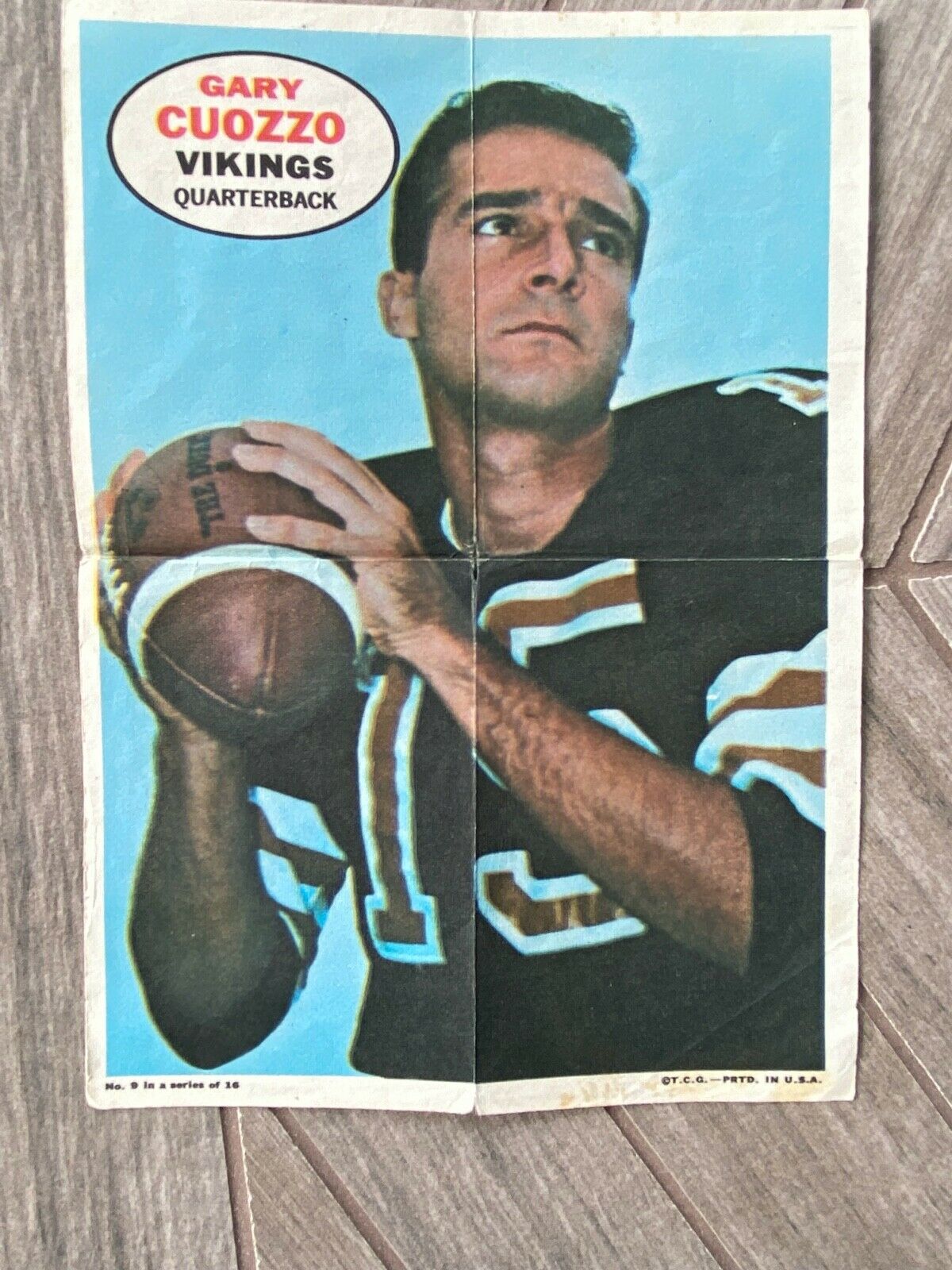 1968 Topps Poster Gary Cuozzo #9